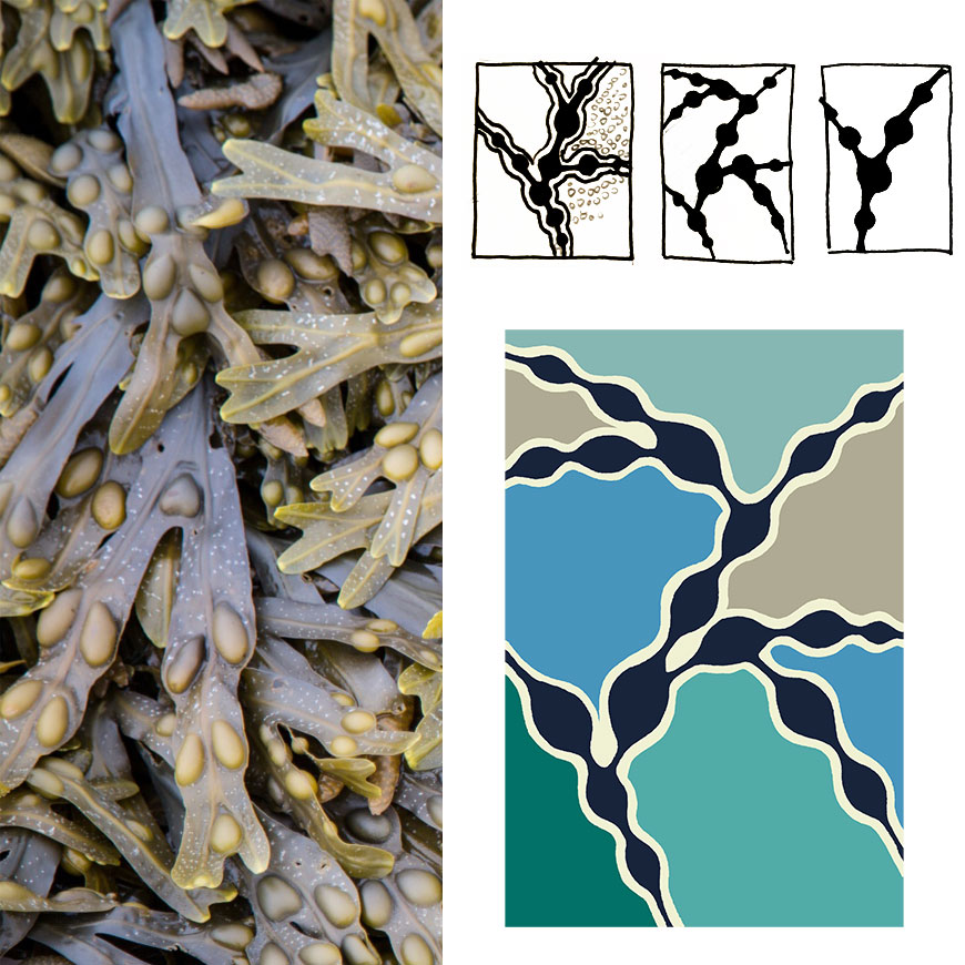 seaweed-contemporary-blue-rug-behind-the-scenes
