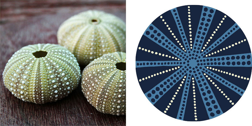 urchin-round-dot-pattern-rug-inspiration